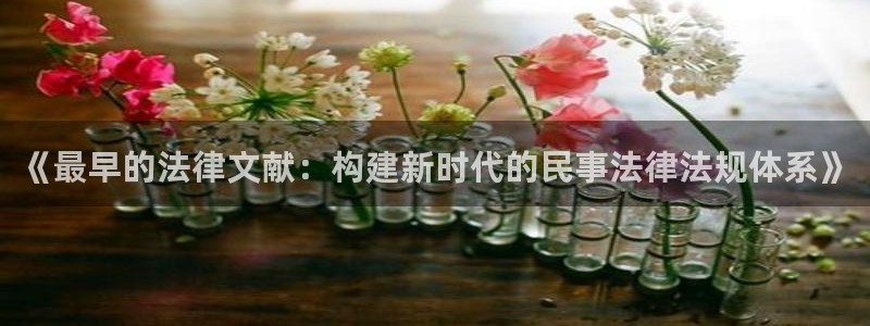安信12想开户：《最早的法律文献：构建新时代的民事法律法规体系》