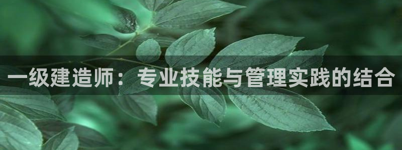 安信12app下载：一级建造师：专业技能与管理实践的结合