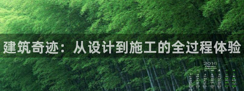 信安12乐打棒：建筑奇迹：从设计到施工的全过程体验