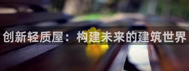 安信12是什么：创新轻质屋：构建未来的建筑世界