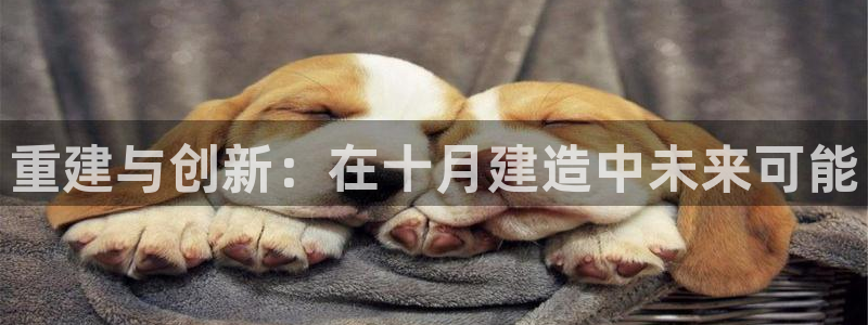 安信12赛车：重建与创新：在十月建造中未来可能