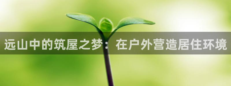 安信12登录：远山中的筑屋之梦：在户外营造居住环境