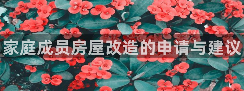 奇安信12流转场：家庭成员房屋改造的申请与建议