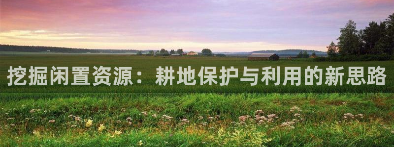 安信esp 12k：挖掘闲置资源：耕地保护与利用的新思路