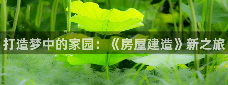 安信12娱乐招商：打造梦中的家园：《房屋建造》新之旅