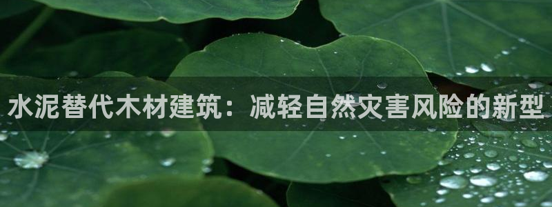 安信12网页版：水泥替代木材建筑：减轻自然灾害风险的新型