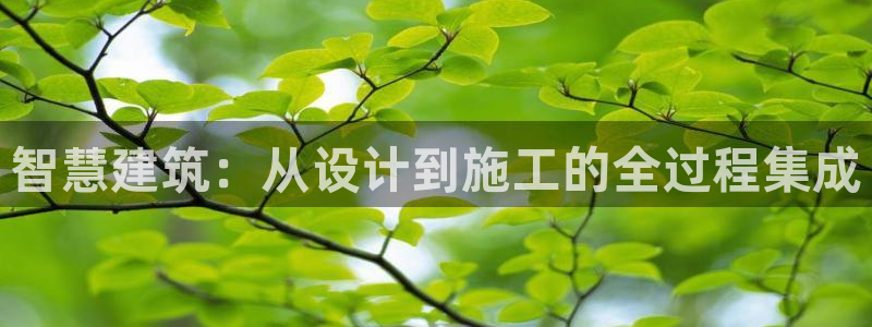 安信12真假：智慧建筑：从设计到施工的全过程集成