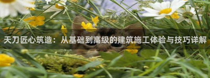 安信12官方网站查询：天刀匠心筑造：从基础到高级的建筑施工体验与技巧详解