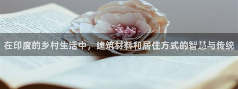 安信可f12：在印度的乡村生活中，建筑材料和居住方式的智慧与传统