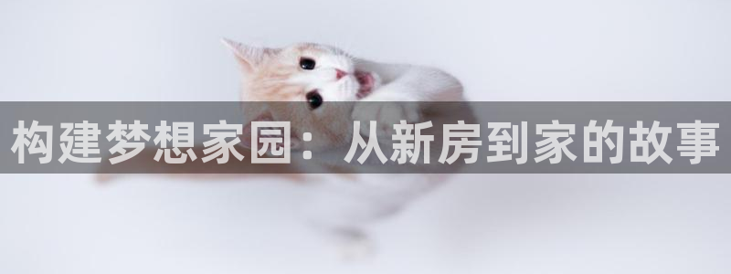 安信12如何开代理：构建梦想家园：从新房到家的故事