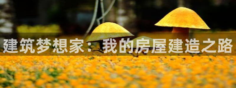 安信12注册咋7O777：建筑梦想家：我的房屋建造之路