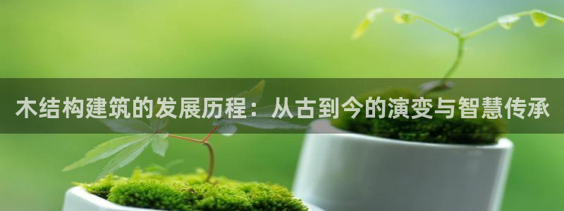 安信娱乐12登录地址：木结构建筑的发展历程：从古到今的演变与智慧传承