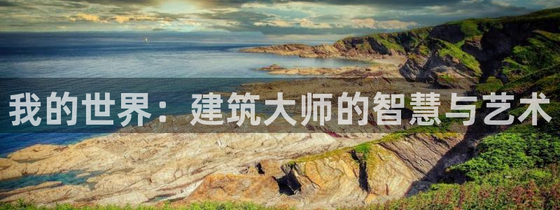 安信证券 12位：我的世界：建筑大师的智慧与艺术