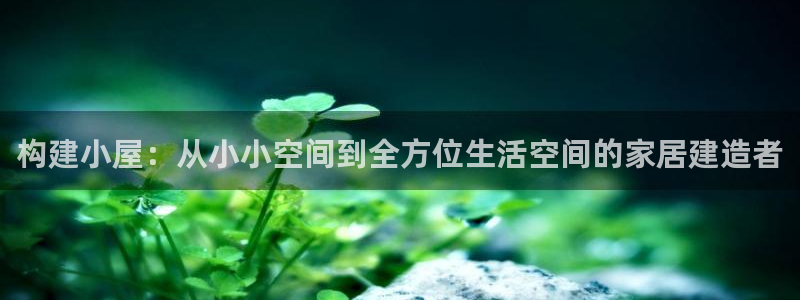 安信可 esp-12：构建小屋：从小小空间到全方位生活空间的家居建造者