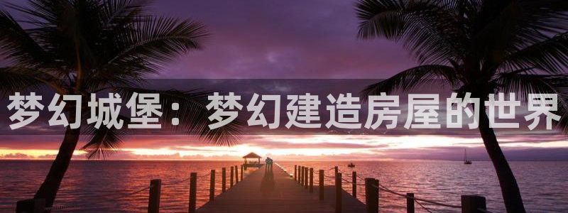 安信12平台官网：梦幻城堡：梦幻建造房屋的世界