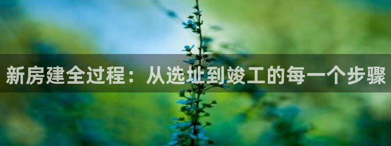 安信12正版下载：新房建全过程：从选址到竣工的每一个步骤