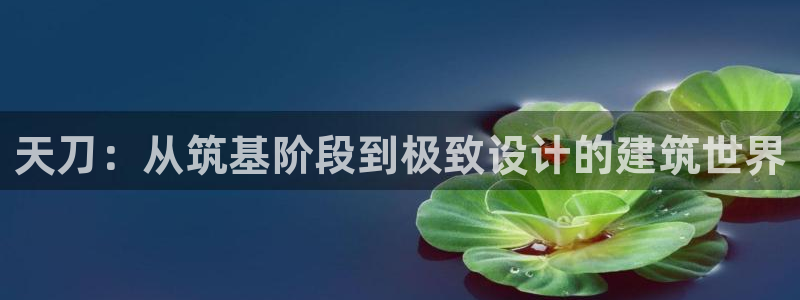 安信12官网qq：天刀：从筑基阶段到极致设计的建筑世界