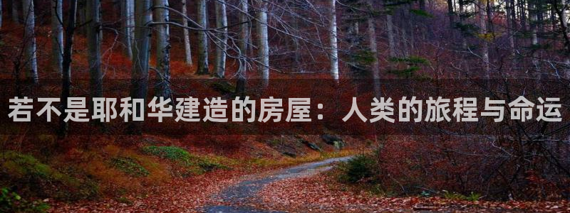 安信安盈12最新消息：若不是耶和华建造的房屋：人类的旅程与命运