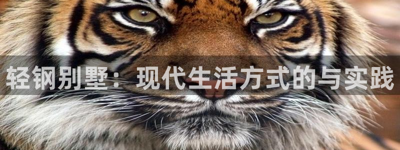 安信12专用挂机：轻钢别墅：现代生活方式的与实践