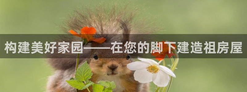 安信12app下载：构建美好家园——在您的脚下建造祖房屋