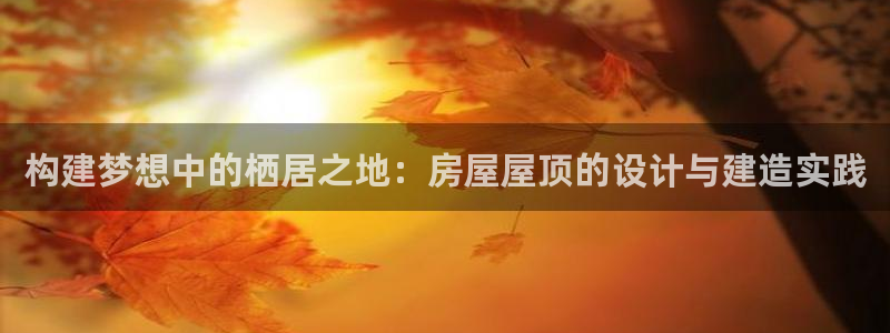 安信12级粉丝团福利：构建梦想中的栖居之地：房屋屋顶的设计与建造实践