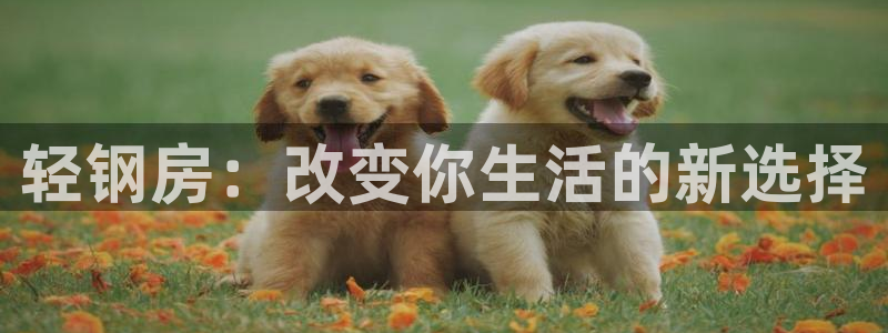 esp-12s安信：轻钢房：改变你生活的新选择