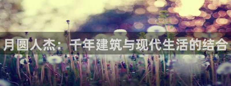 信安杯12：月圆人杰：千年建筑与现代生活的结合