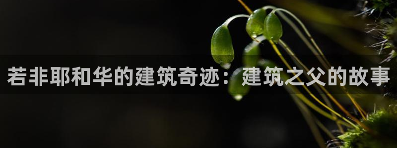 安信安赢12号：若非耶和华的建筑奇迹：建筑之父的故事