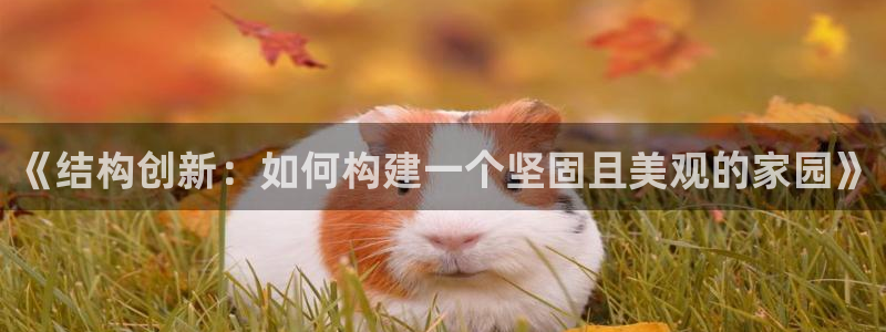 安信证券 12位：《结构创新：如何构建一个坚固且美观的家园》