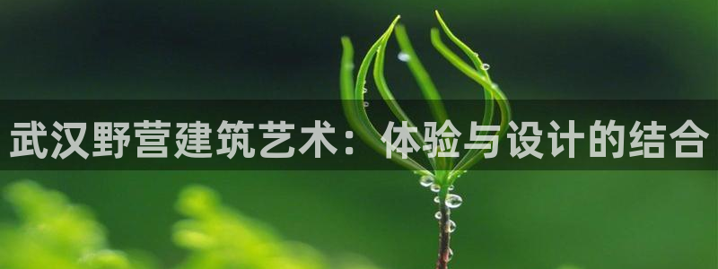 安信12位资金账号：武汉野营建筑艺术：体验与设计的结合