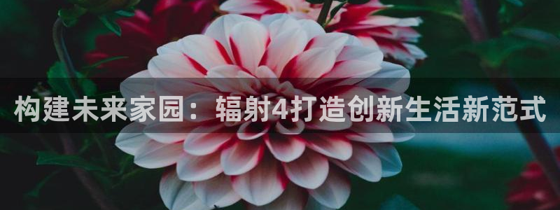 安信12级大众：构建未来家园：辐射4打造创新生活新范式