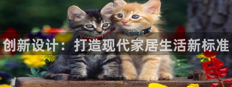 安信12娱乐代理：创新设计：打造现代家居生活新标准