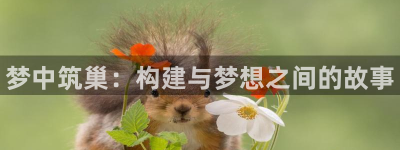 安信12彩票在线网址：梦中筑巢：构建与梦想之间的故事