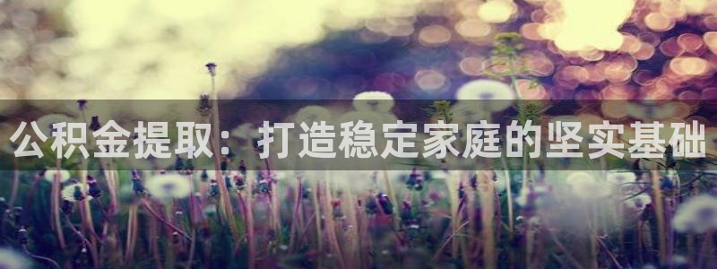 安信12注册代理：公积金提取：打造稳定家庭的坚实基础