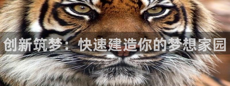 安信12是做什么：创新筑梦：快速建造你的梦想家园