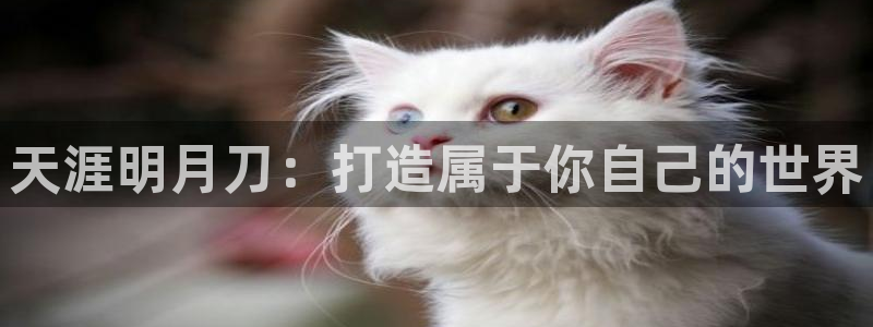 安信12是什么：天涯明月刀：打造属于你自己的世界