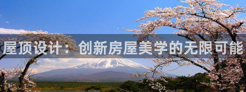 安信12娱乐登录：屋顶设计：创新房屋美学的无限可能
