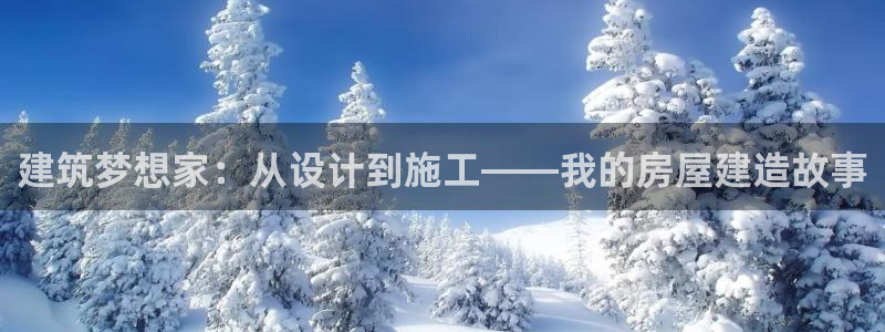 安信12是什么平台：建筑梦想家：从设计到施工——我的房屋建造故事