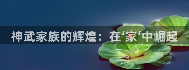 安信12怎么下载：神武家族的辉煌：在‘家’中崛起