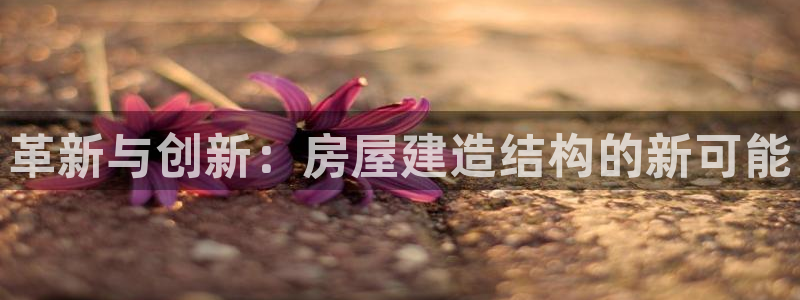 安信12平台介绍：革新与创新：房屋建造结构的新可能