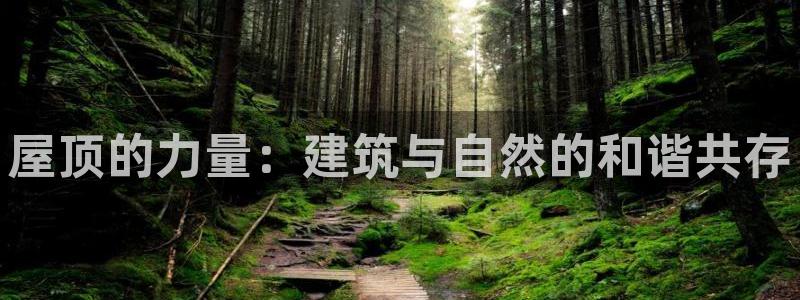 安信可wb12：屋顶的力量：建筑与自然的和谐共存