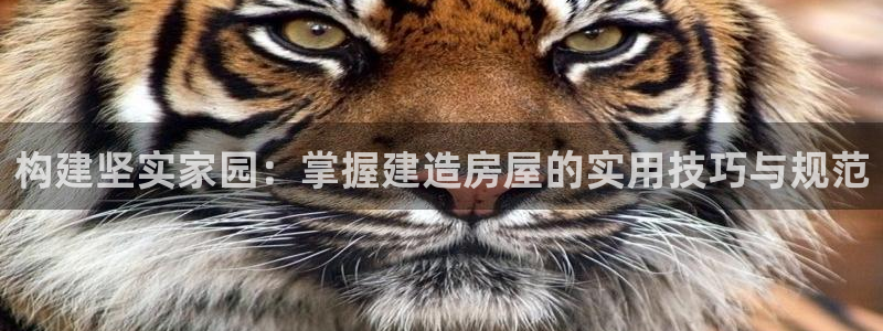 安信t12：构建坚实家园：掌握建造房屋的实用技巧与规范