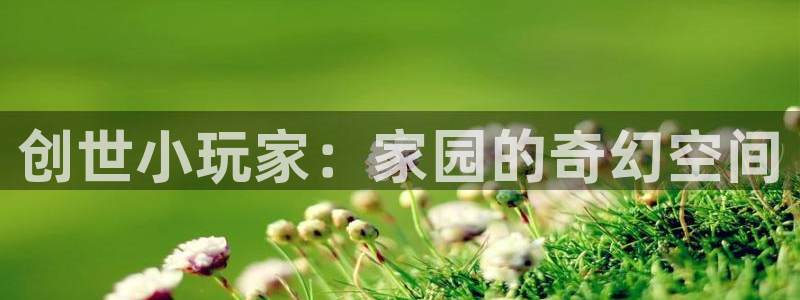 安信锐赢134号12月：创世小玩家：家园的奇幻空间