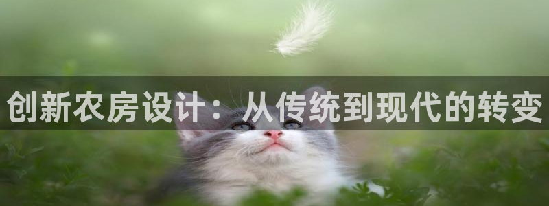 安信12靠谱吗：创新农房设计：从传统到现代的转变
