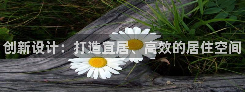 安信12是啥：创新设计：打造宜居、高效的居住空间