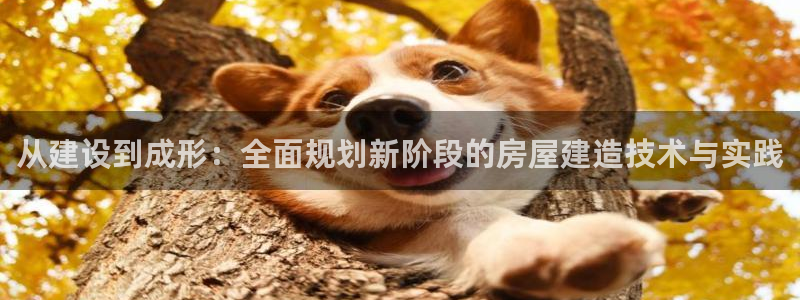 安信娱乐12登录地址：从建设到成形：全面规划新阶段的房屋建造技术与实践