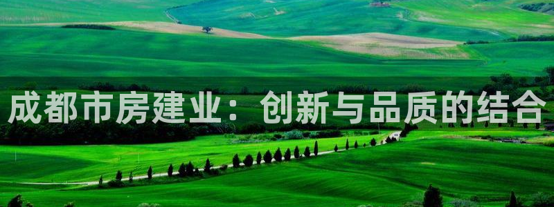 安信 12：成都市房建业：创新与品质的结合