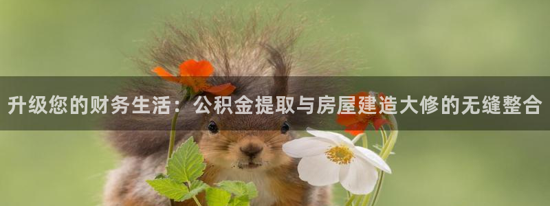安信12主管：升级您的财务生活：公积金提取与房屋建造大修的无缝整合