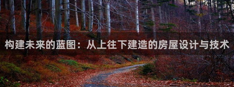 安信12：构建未来的蓝图：从上往下建造的房屋设计与技术