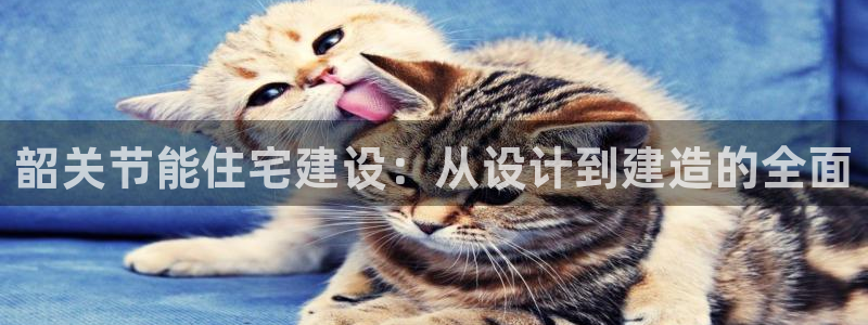 安信esp12：韶关节能住宅建设：从设计到建造的全面